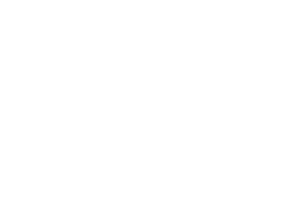 The Groove Merchants